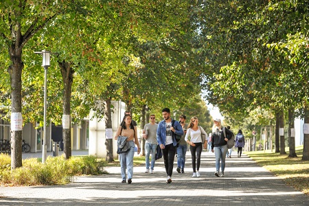 Wirtschaftsinformatik Bachelor: Universität Hohenheim | Stuttgart