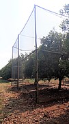 Areas are fenced off with netting to keep predators out so that the researchers can test biological pest control provided by bats and birds that feed on insects in the trees – Photo: University of Göttingen/Mina Anders