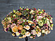 Ein Kranz, den die Floristmeister gestalteten | Bildquelle: Universität Hohenheim / Gabriele Haufe