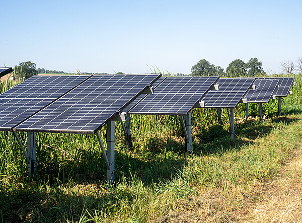 Agri-PV in Mooren