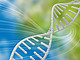 Überblick über 25 Jahre Forschung zur Genetik menschlicher Erkrankungen. | Bildquelle: Clipdealer