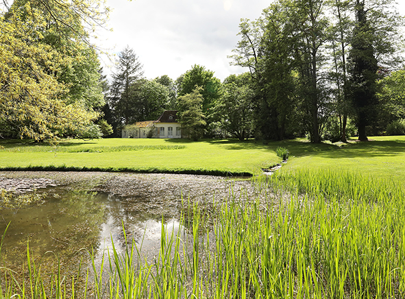 Exotischer Garten